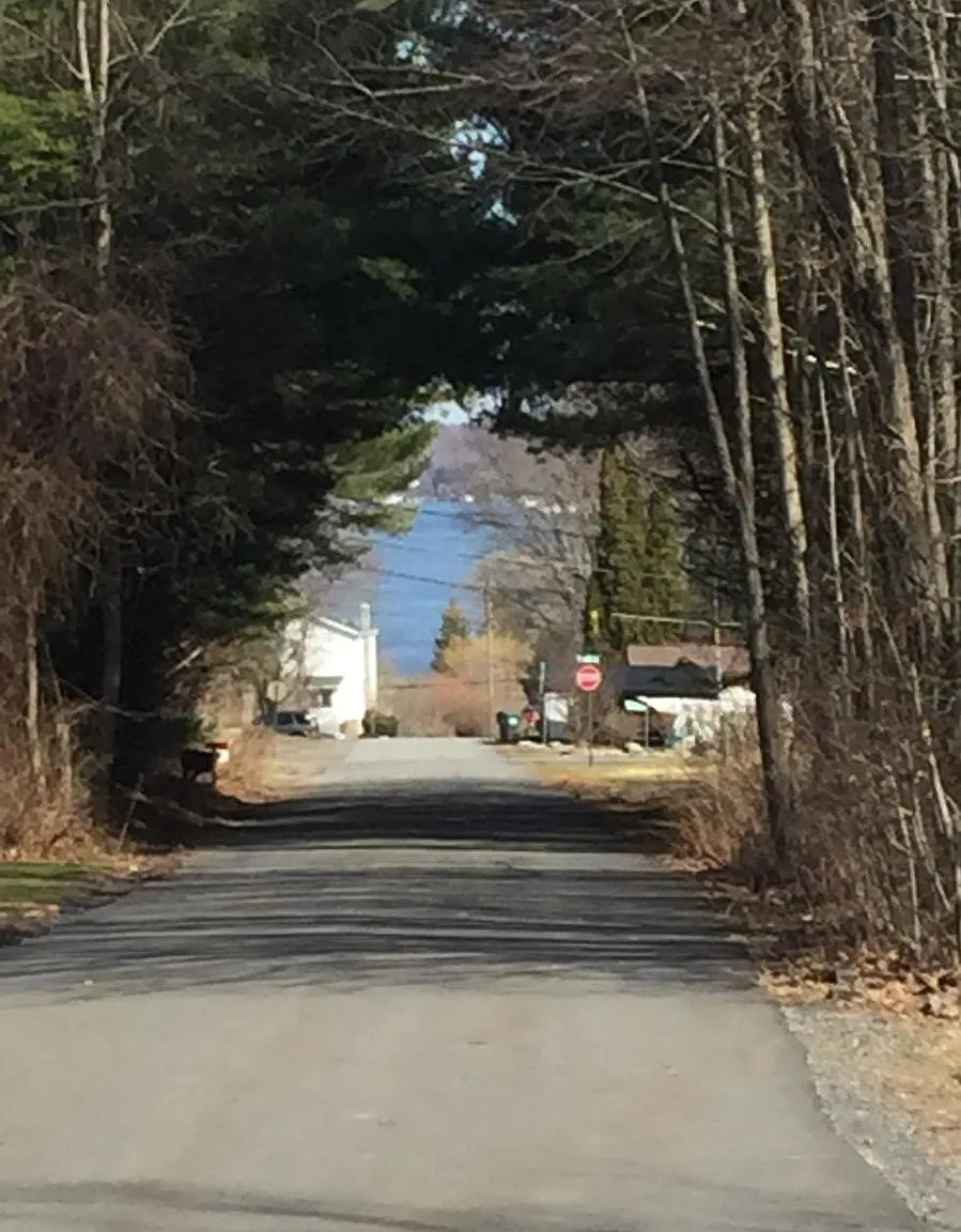 School Street, Harveys Lake — Photo 2