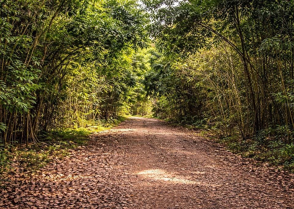 1st image of Solar 36 Bo Fronton