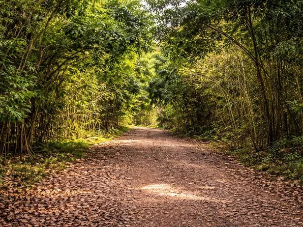 Solar 36 Bo Fronton, Ciales, PR 00638