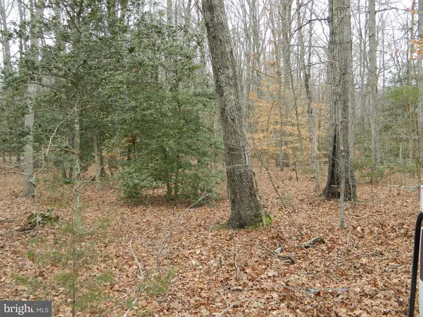 Hollywood Farm Rd, Fredericksburg, VA 22405