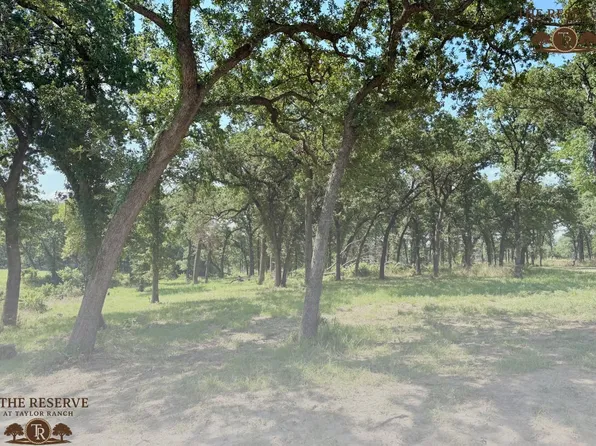 1313 Sanger Dr, Springtown, TX 76082