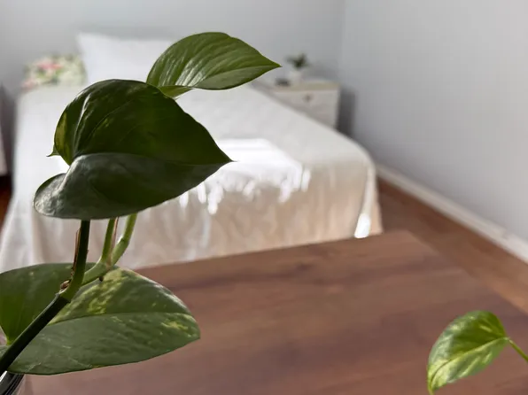 10319 Bradhurst St, Whittier, CA 90606