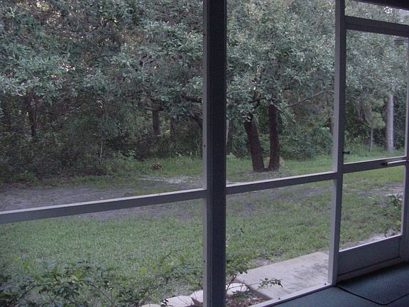 Rear View From Lanai