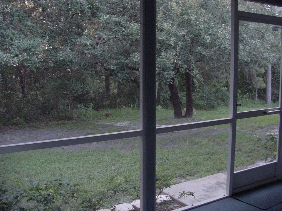 Rear View From Lanai