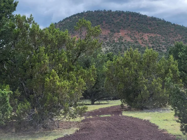 1443 E Galewood Dr, Williams, AZ 86046