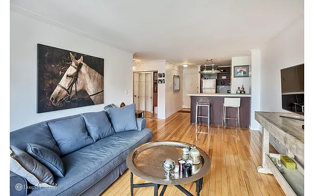 Sold by Douglas Elliman | media 2