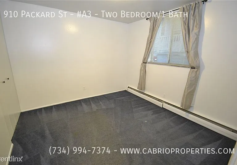 910 Packard St — Photo 22