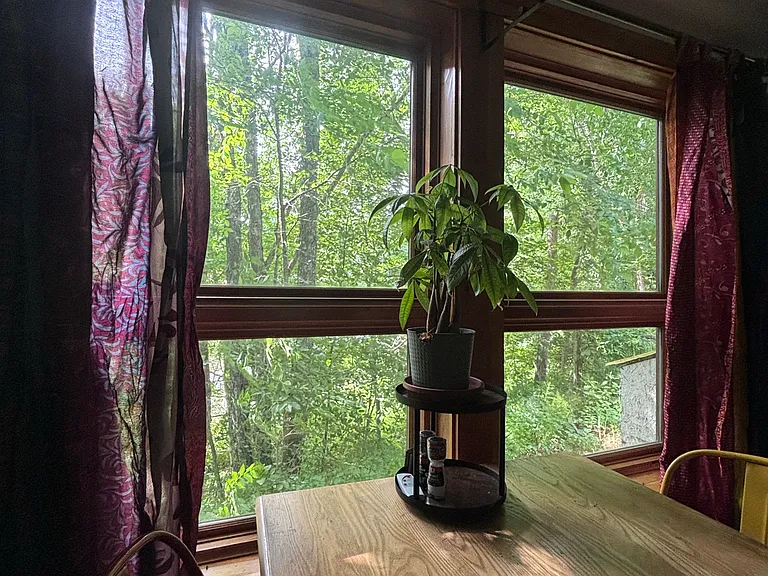 Cozy cottage in the woods