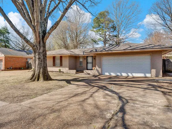 3225 Teaberry Ln, Memphis, TN 38134