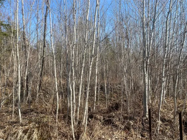Near Tom Green Road, Solon Springs, WI 54873