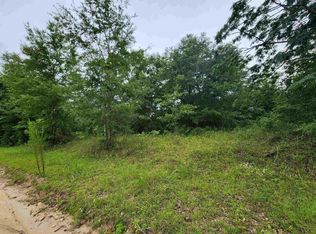Vacant Ne Reagan Rd, Madison, FL 32340