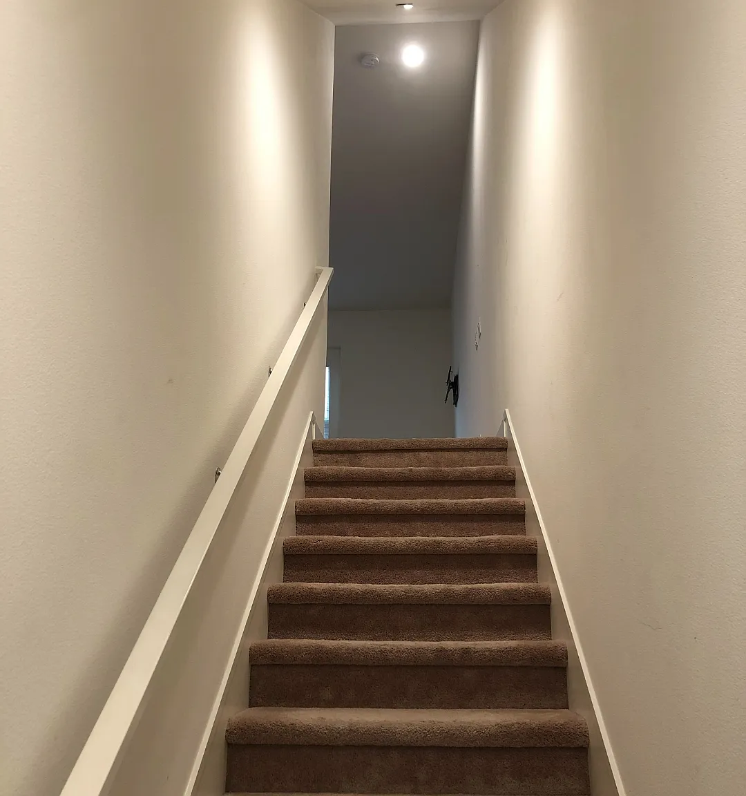 3 bed, 1651 sqft, $4,295 — Photo 3