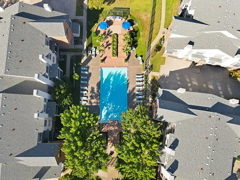 Resort Style Pool