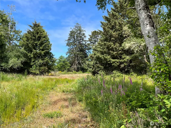 3639 Larkin Road, North Cove, WA 98547