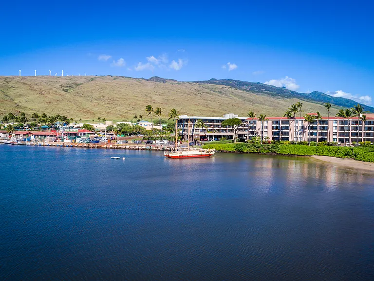 30 Hauoli St #204 — Photo 46