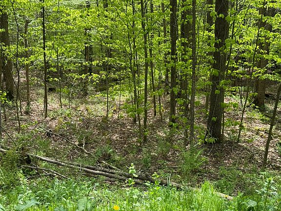 5th image of 0 Carcass Brook Rd