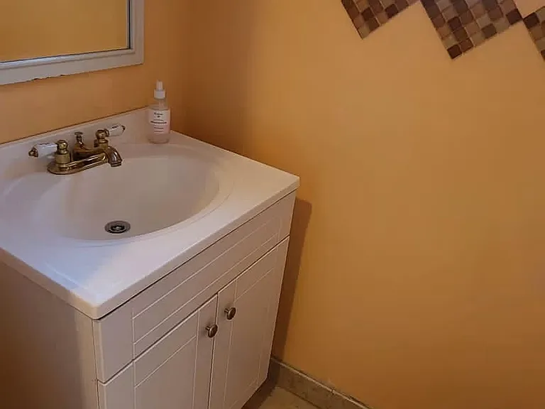 the bathroom on the ground floor; there is another shower and a small 2 people sauna next to it