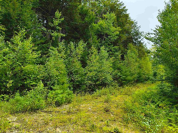 2nd image of Lot #5 Cilley Brook Lane #5