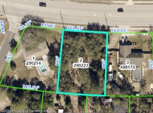 11396 Spring Hill Dr, Spring Hill, FL 34609