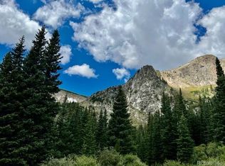 1111 Mine Rd, Idaho Springs, CO 80452