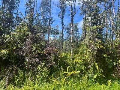815 Mauna Kea Rd, Pahoa, HI, 96778