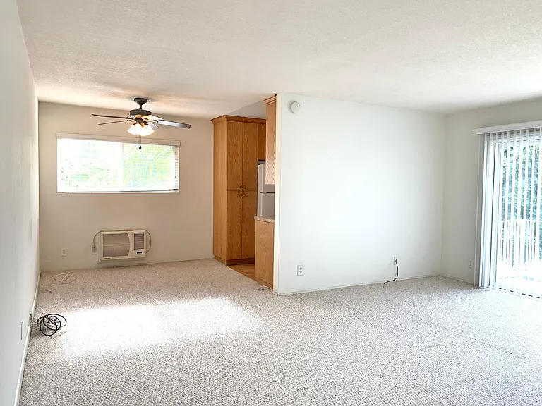 Dining Area / Living Room