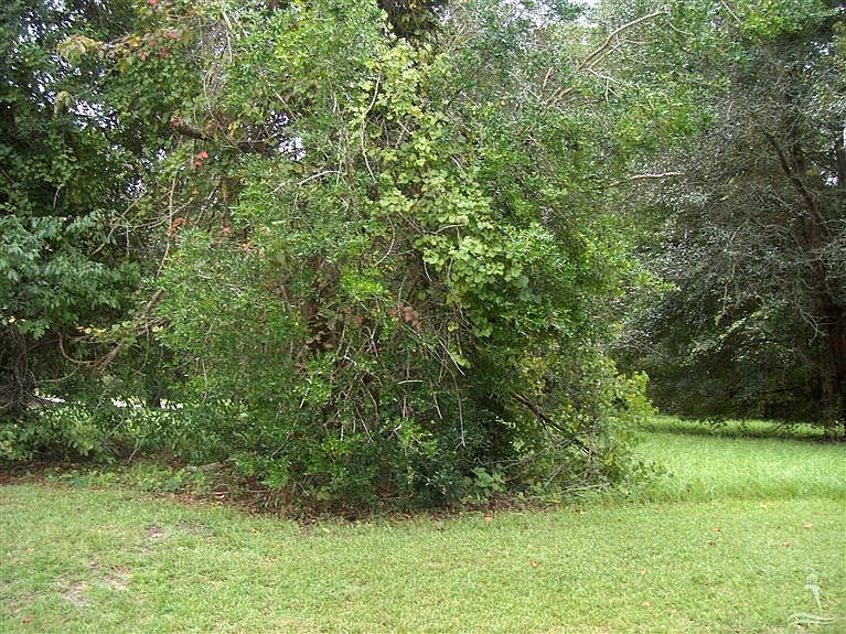 1st image of Greene Pointe LOT 59