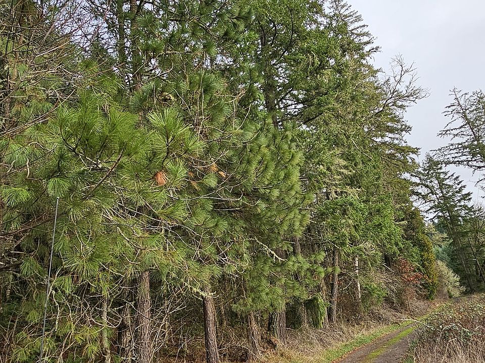 1st image of 85575 Doane Rd