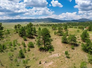 476 Hobble Way #411, Hartsel, CO 80449