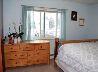 371 W 4th St #201, Silverthorne, CO 80498