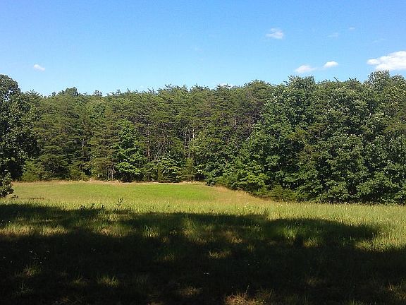 Back Pasture & Forrest