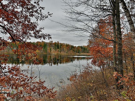 3rd image of 28522 King Arthurs Ct