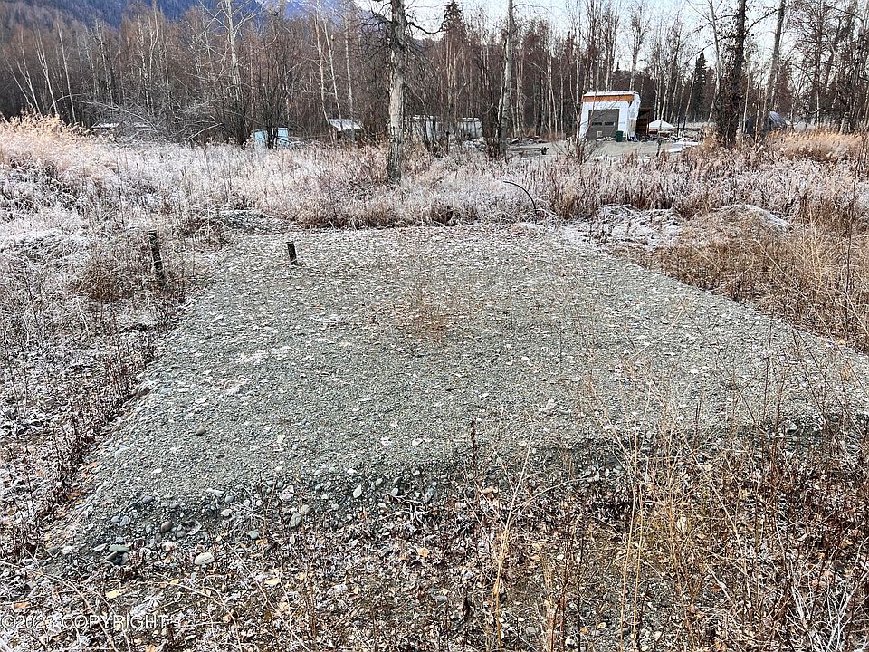 1st image of L14-B1 S Bending Birch Cir