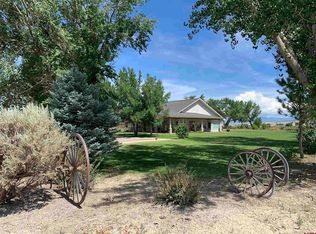 6514 6150th Rd, Olathe, CO 81425