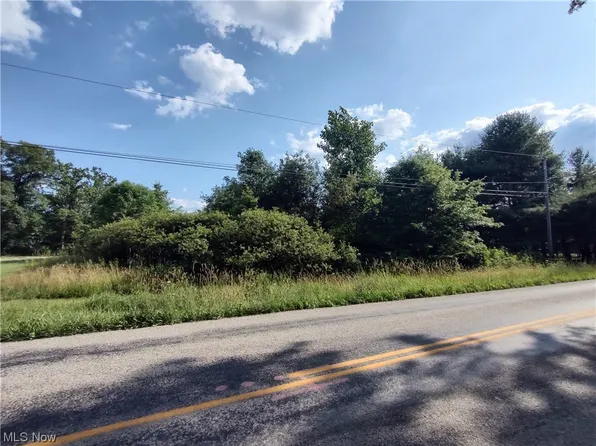 Cable Line Rd, Newton Falls, OH 44444