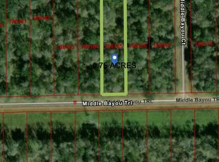 236 Middle Bayou Trl, Angleton, TX 77515