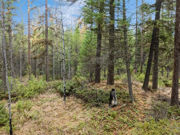 Nhn Bootjack Lake Rd, Whitefish, MT 59937