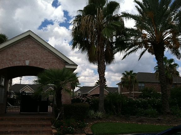 3rd image of 2723 Windy Thicket Ln