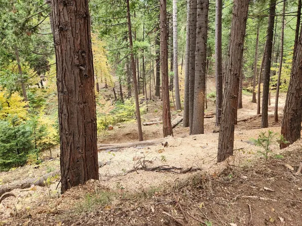 4337 Lakemont Dr, Arnold, CA 95223