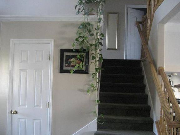 3rd image of 2474 W Tin Snip Cir