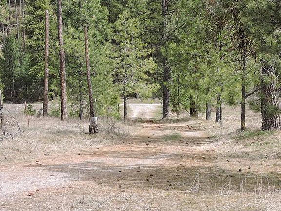 DRIVEWAY ACCESS FROM COUNTY HIGHWAY