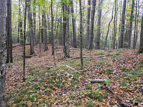 5th image of +/-5 Acres SALEM LAKE ROAD