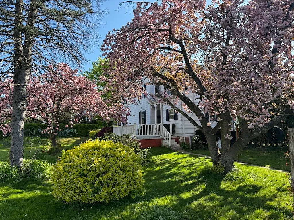 3 bed, 1.5 bath, 1550 sqft, $2,500 — Photo 3