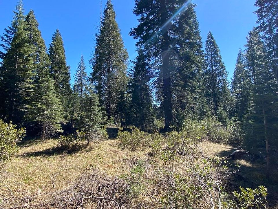 1st image of 3-E-7 Mount Shasta Dr
