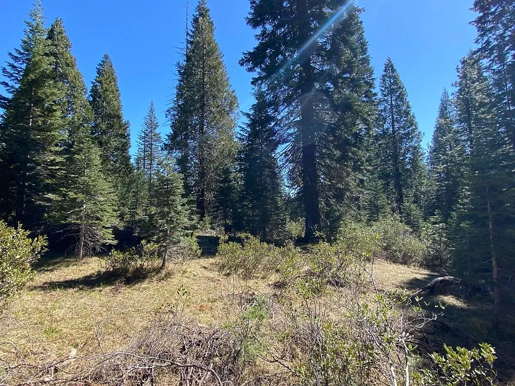 3-E-7 Mount Shasta Dr photo 1