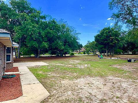 Backyard (now fenced)