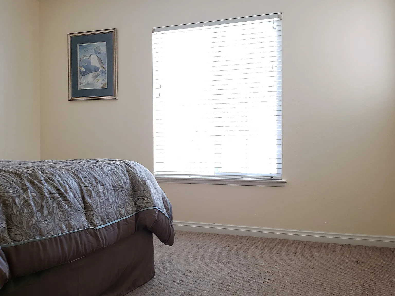 5 bed, 4327 sqft, $2,000 — Photo 2