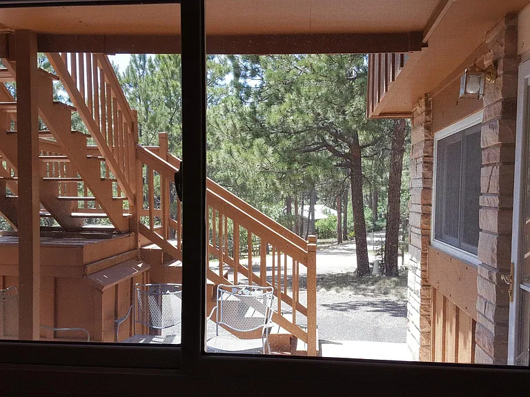 View from kitchen