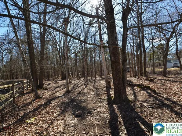 Stony Mountain Rd, Albrightsville, PA 18210