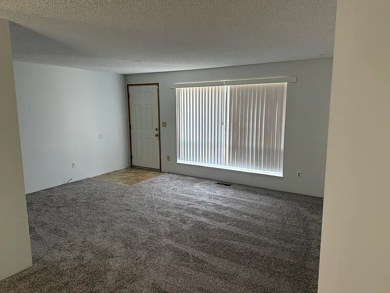 Living Room with new carpet.